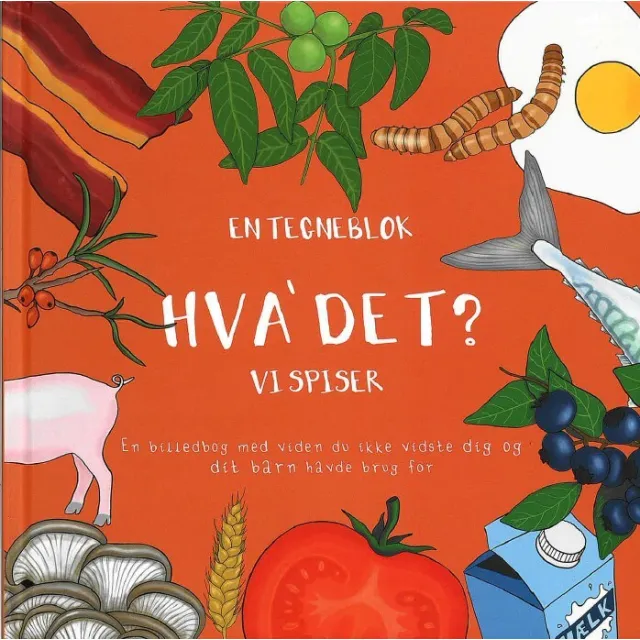 Hva' Det?