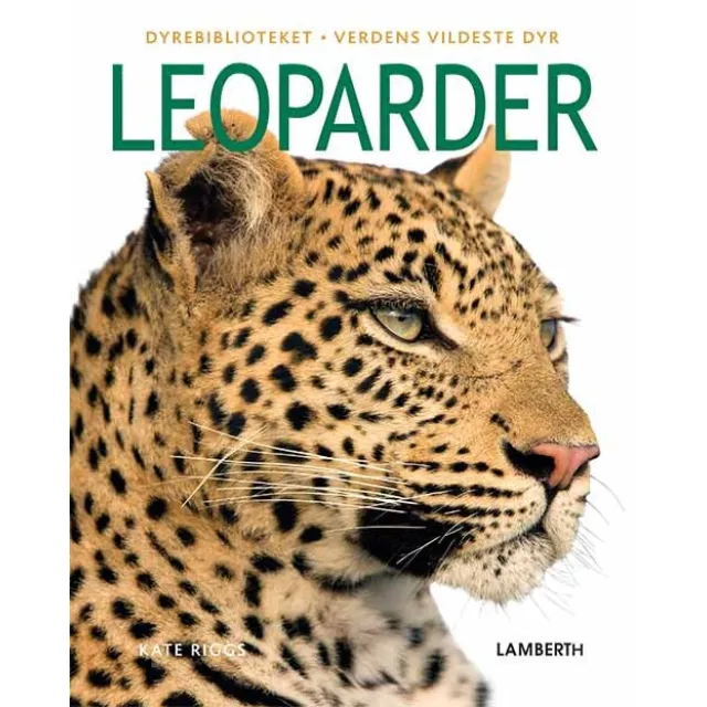 Leoparder