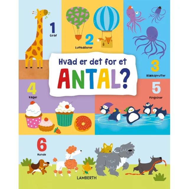 Hvad er det for et antal?