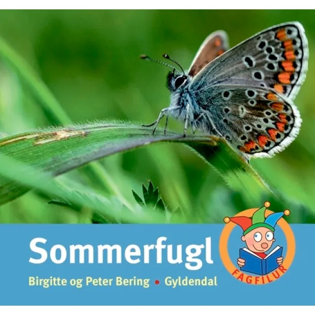 Sommerfugl